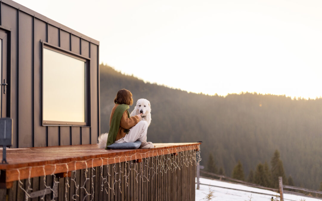 Shed Tiny House