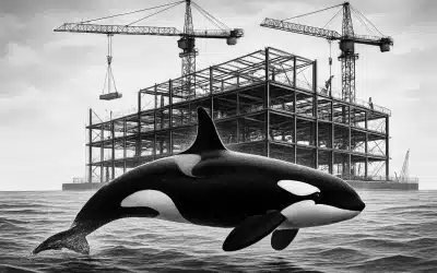 Unveiling the Whale Secret: Why Vancouver’s Killer Whales Are the Unexpected Architects of Canada’s New Construction Boom